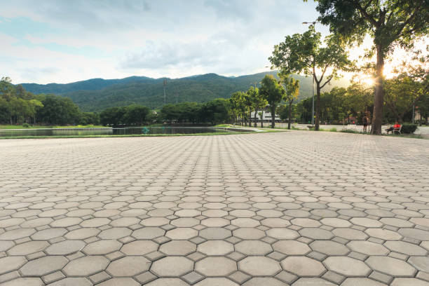 Best Custom Driveway Pavers  in Des Moines, IA